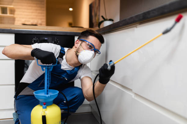 Best Wasp Removal Services  in Dresden, TN