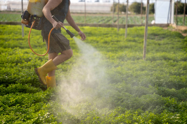 Best Ant Control Services  in Dresden, TN