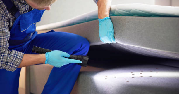 Best Bed Bug Extermination  in Dresden, TN