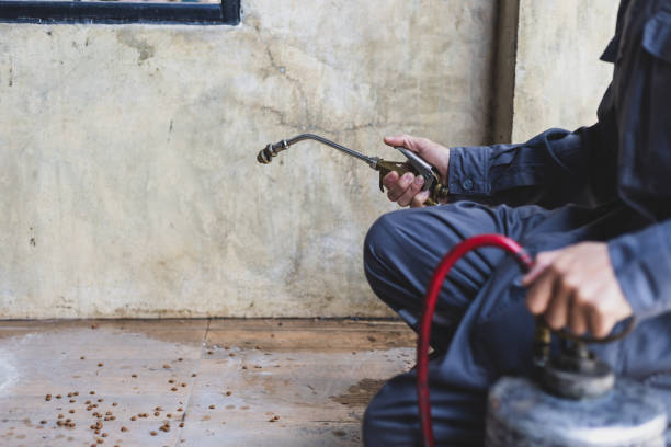 Best Pest Inspection Near Me  in Dresden, TN